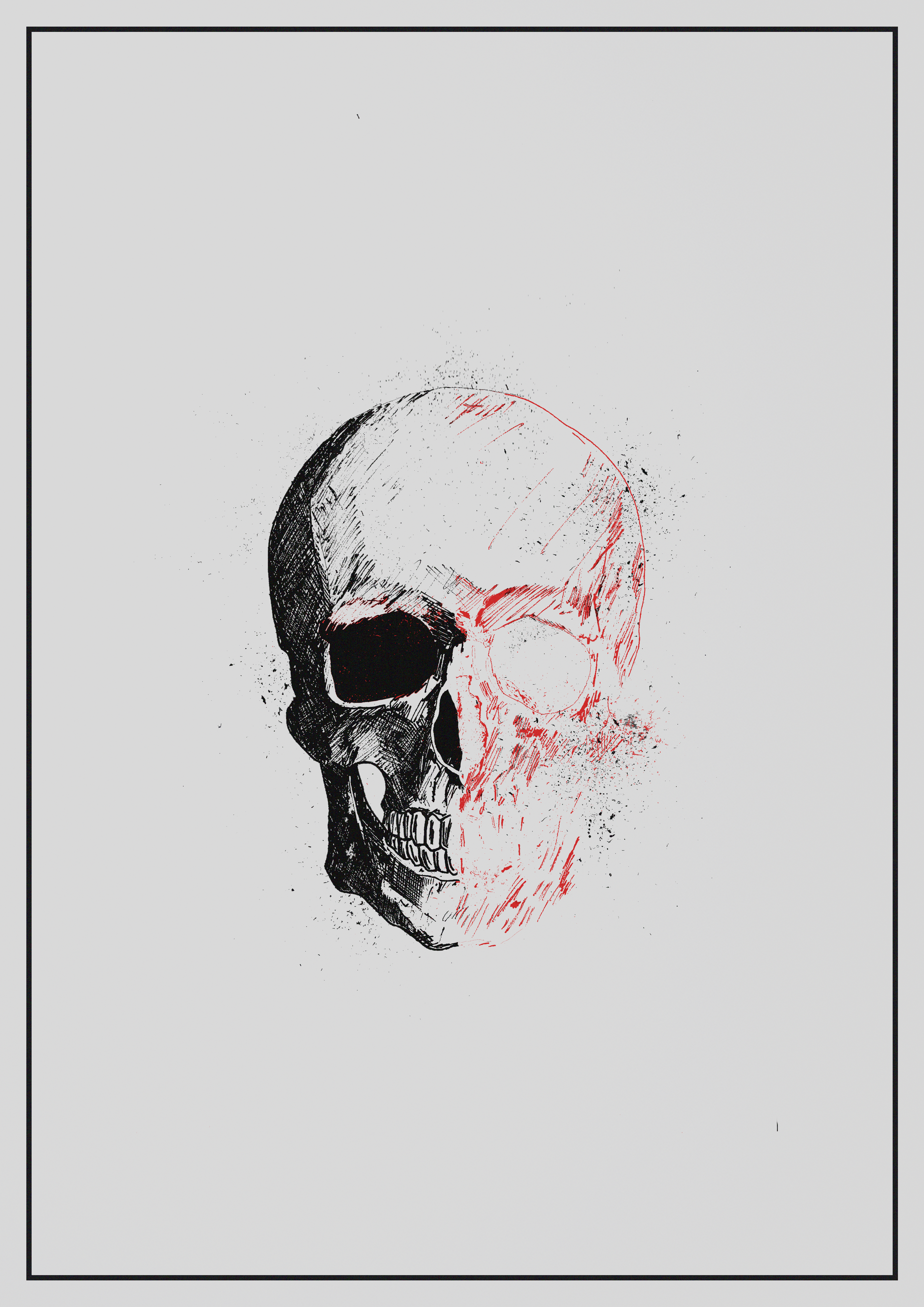 Dissected Skull Illustration Black and Red, splatter