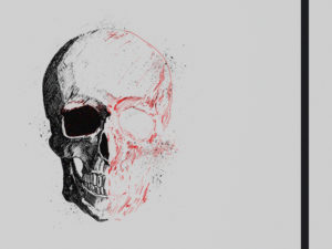 Skull Head Illustration, dissected black and red