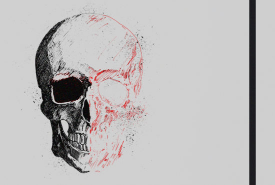 Skull Head Illustration, dissected black and red